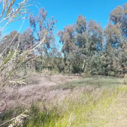 HaUman Park - Herzliya