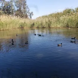Herzliya Park - Herzliya