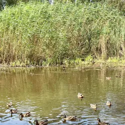 Herzliya Park - Herzliya