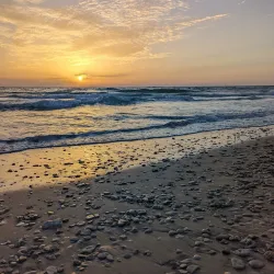 Sidna Ali Beach - Herzliya