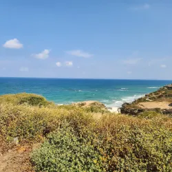 Sidna Ali Mosque - Herzliya