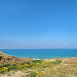 Sidna Ali Mosque - Herzliya