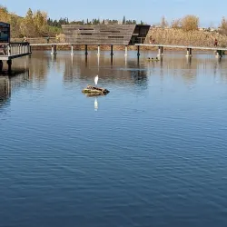 Gan Ha'ir Park - Hod Hasharon