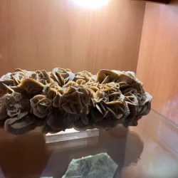 Hod Hasharon Museum - Hod Hasharon