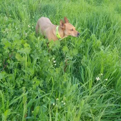 Hod Hasharon Sports Complex - Hod Hasharon