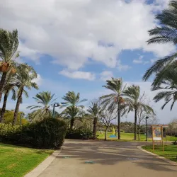 Kfar Saba Park - Hod Hasharon