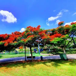 Kfar Saba Park - Hod Hasharon