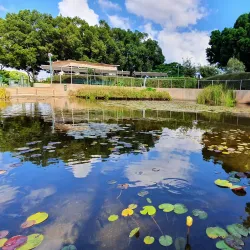 Kfar Saba Park - Hod Hasharon
