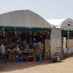 Local Farmers Market - Hod Hasharon