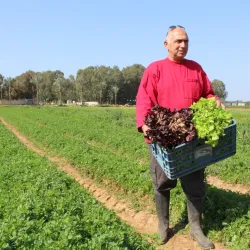 Local Farmers Market - Hod Hasharon