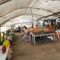Local Farmers Market - Hod Hasharon