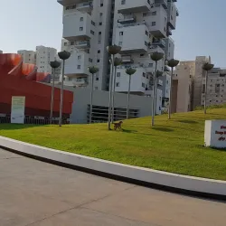 Holon City Library - Holon