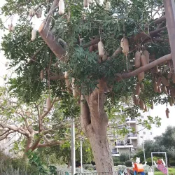 Holon Sports Complex - Holon