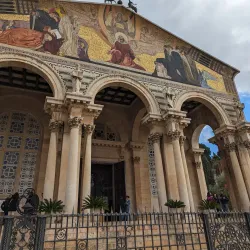Garden of Gethsemane - Jerusalem