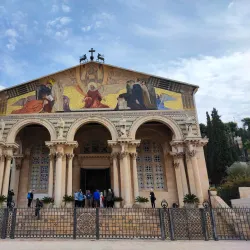 Garden of Gethsemane - Jerusalem