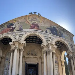 Garden of Gethsemane - Jerusalem