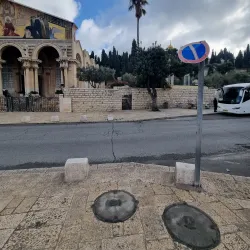 Garden of Gethsemane - Jerusalem