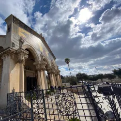 Garden of Gethsemane - Jerusalem