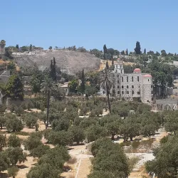 Mount of Olives - Jerusalem