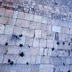 The Western Wall - Jerusalem