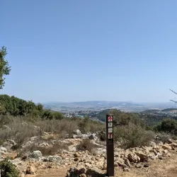 Karmiel Forest - Karmiel