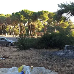 Karmiel Forest - Karmiel