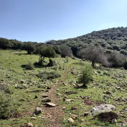 Karmiel Forest - Karmiel