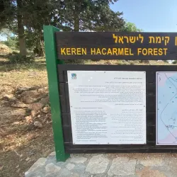 Karmiel Forest - Karmiel