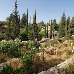 Karmiel Museum - Karmiel