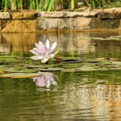 Karmiel Museum - Karmiel