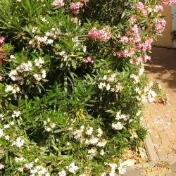 Karmiel Sports Complex - Karmiel