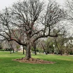 Beit Berl College - Kefar Sava