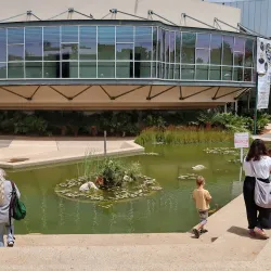 Kefar Sava Museum - Kefar Sava