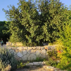 Kefar Sava Museum - Kefar Sava