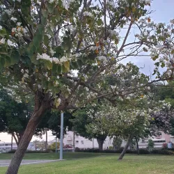 Kefar Sava Sports Complex - Kefar Sava