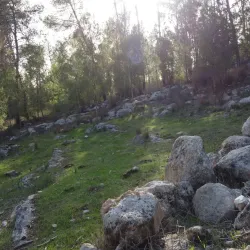 Ben Shemen Forest - Kfar Ha-Oranim
