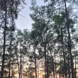 Ben Shemen Forest - Kfar Ha-Oranim