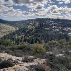 Ben Shemen Forest - Kfar Ha-Oranim