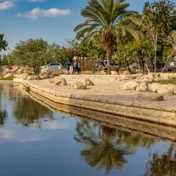 Canada Park - Kfar Ha-Oranim