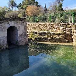 Canada Park - Kfar Ha-Oranim