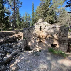 Canada Park - Kfar Ha-Oranim