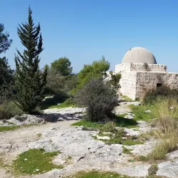 Canada Park - Kfar Ha-Oranim