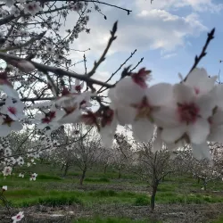 Canada Park - Kfar Ha-Oranim