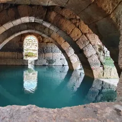 Canada Park - Kfar Ha-Oranim