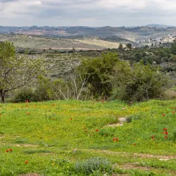 Neot Kedumim Biblical Landscape Reserve - Kfar Ha-Oranim