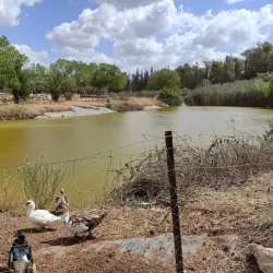 Neot Kedumim Biblical Landscape Reserve - Kfar Ha-Oranim
