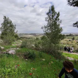 Neot Kedumim Biblical Landscape Reserve - Kfar Ha-Oranim