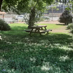 Beit Berl College - Kfar Saba