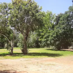 Beit Berl College - Kfar Saba