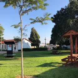 Beit Berl College - Kfar Saba